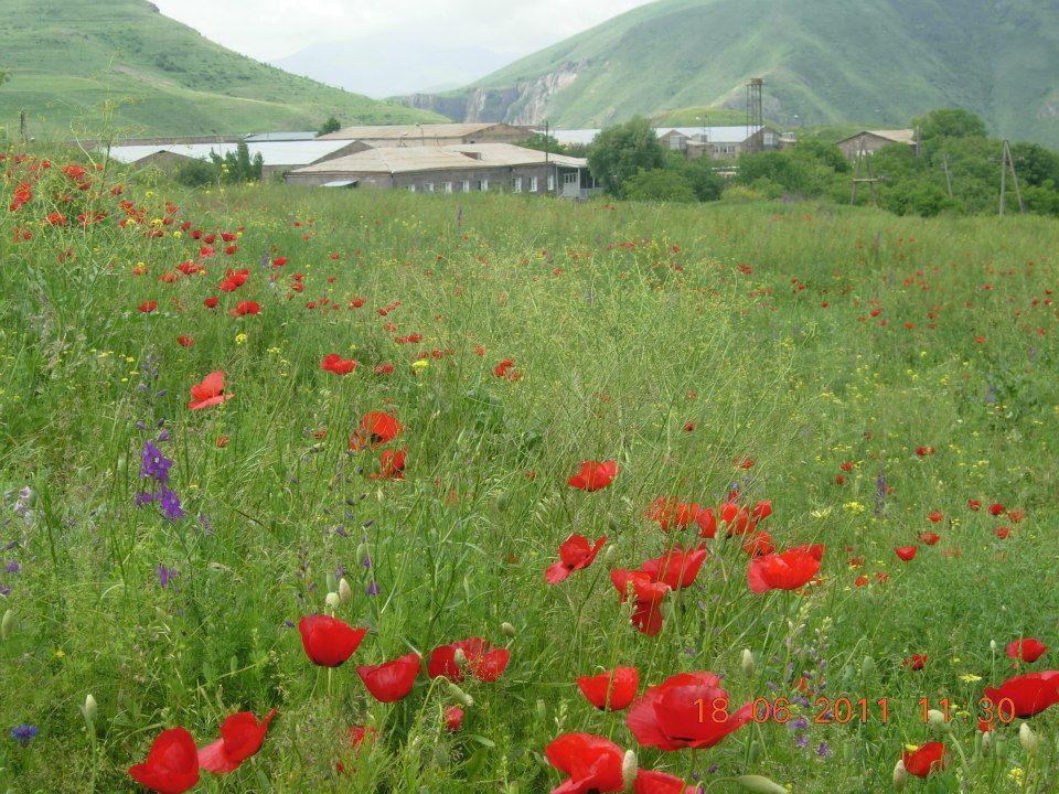 Azoyan Holiday Resort Sisian Esterno foto