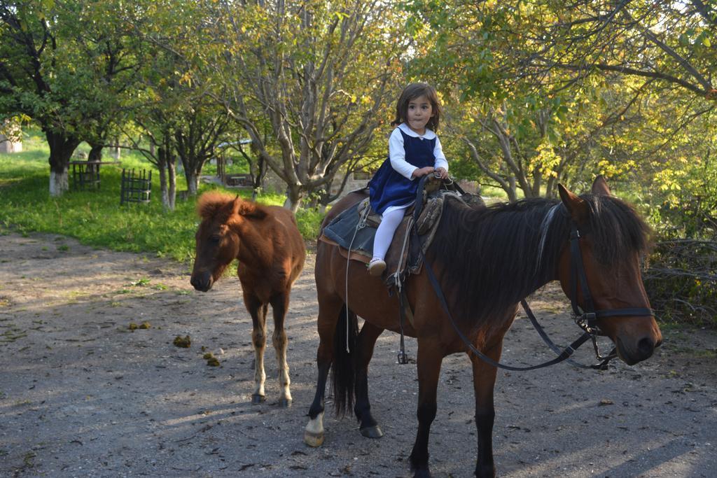 Azoyan Holiday Resort Sisian Esterno foto
