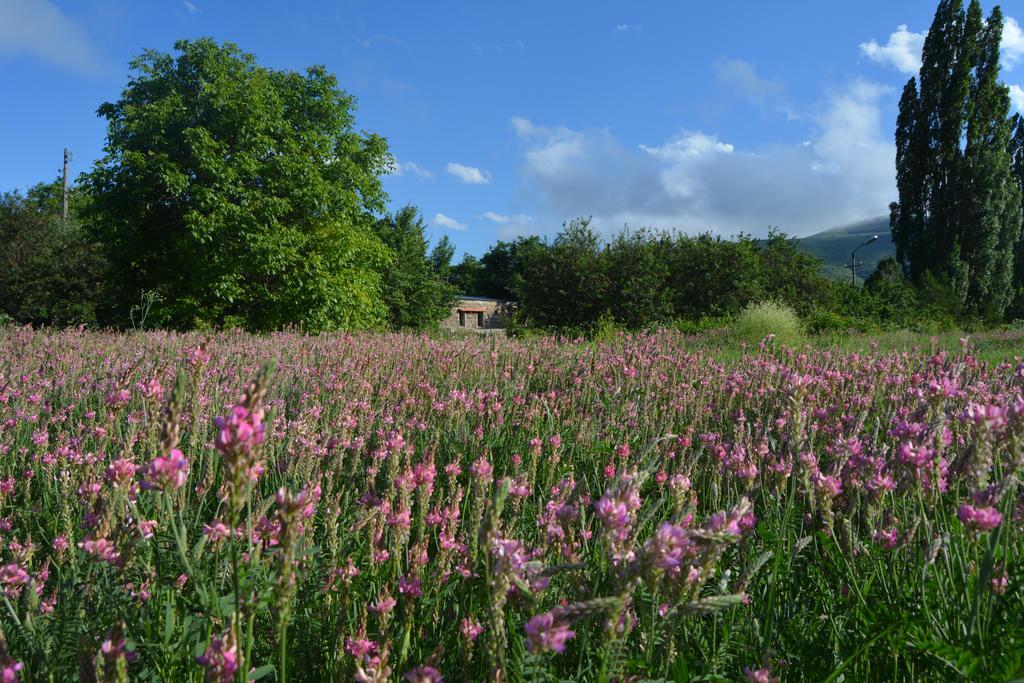 Azoyan Holiday Resort Sisian Esterno foto